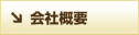 ЊTv